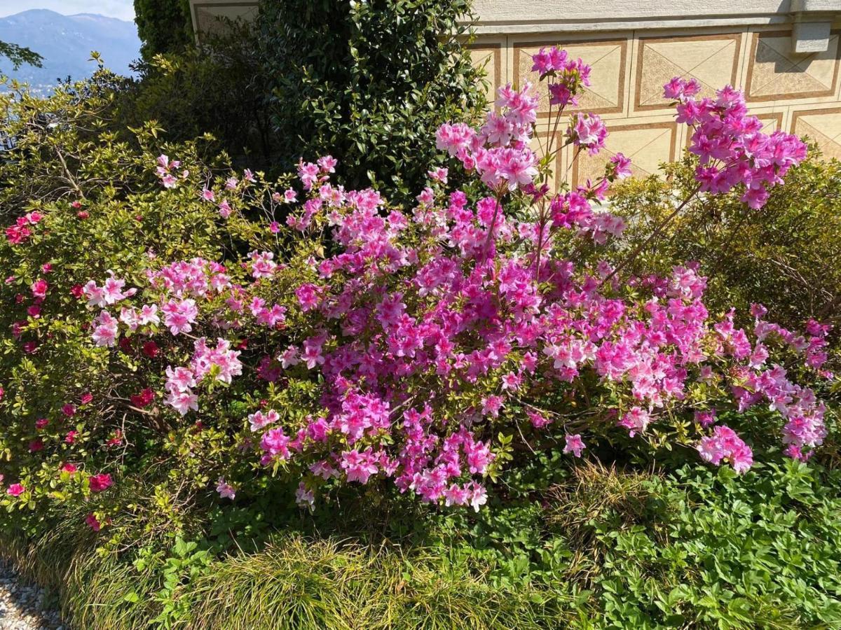 Holiday home Villino Tarlarini Laveno-Mombello